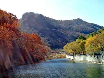 新澳天天开奖资料大全旅游团，重生之纵横四海